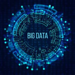 Big Data and Data Science Services