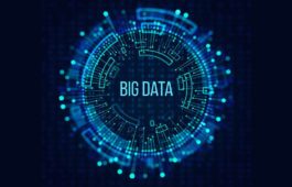 Big Data and Data Science Services