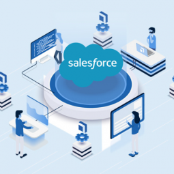 Salesforce Implementation Services